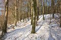Rossmore in Winter